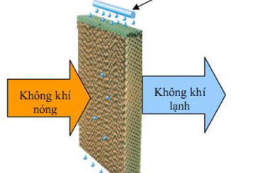 Máy làm mát không khí Kangaroo KG50F40